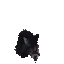 maow