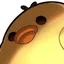 chickstareglare
