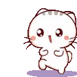 kittyexcited