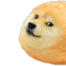 doge1