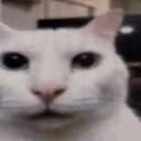 ok