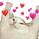 Cat_LoveStretch
