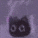 Dancecat Discord emoji