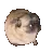 doggo_dance