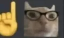 catNerd