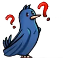 birdyquestion