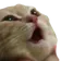 catPog