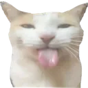 8665blehhhhhcat1 Discord Emoji