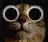 Doc_CatStareEyes Doc_CatStareEyes
