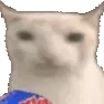 catwaiting