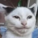 Hmmm Hmmm