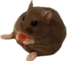 sit