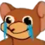 358807784_299418789119413_738955