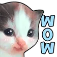 TXT_catwow Discord Emoji