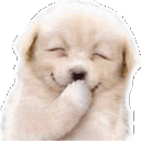 EC_dogHehe Discord emoji