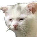 tired Discord emoji