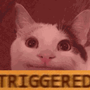 Triggered Discord emoji