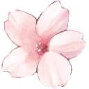 assets_zflower_ri