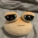 pou