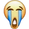 skullcry skullcry
