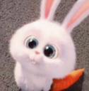 cute_rabbit Discord emoji
