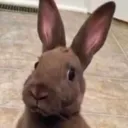 sideeye