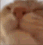 FartWater_LickyLick Discord emoji