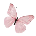 TST_h_pinkbutterfly