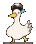 duck