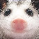 poss