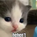 hehent