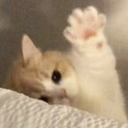 xx_kittywave Discord emoji