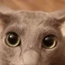157