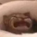 waaa