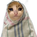 B_SadCat Discord Emoji from SocialBar | Make Friends • Active • VC Calls • Gaming • Emotes • Anime • Roblox • Chill • Fun