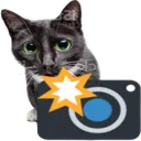 1676cameracatremovebgpreview Discord Emoji