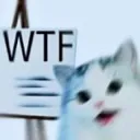 Wtfcat wtfcat Discord Emoji
