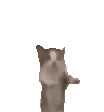 happycat
