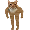 StanceWinston