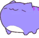 kittynod