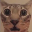 emoji_23