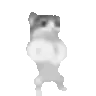 catdanceoldtimey