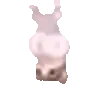 catdancezerogravity