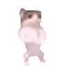 catdanceslomo