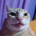 goober