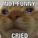 Notfunnycried notfunnycried Discord Emoji
