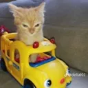 carKitty