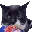 veryGato