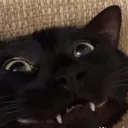 bhsjabbssbhsn