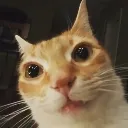 puuuu puuuu